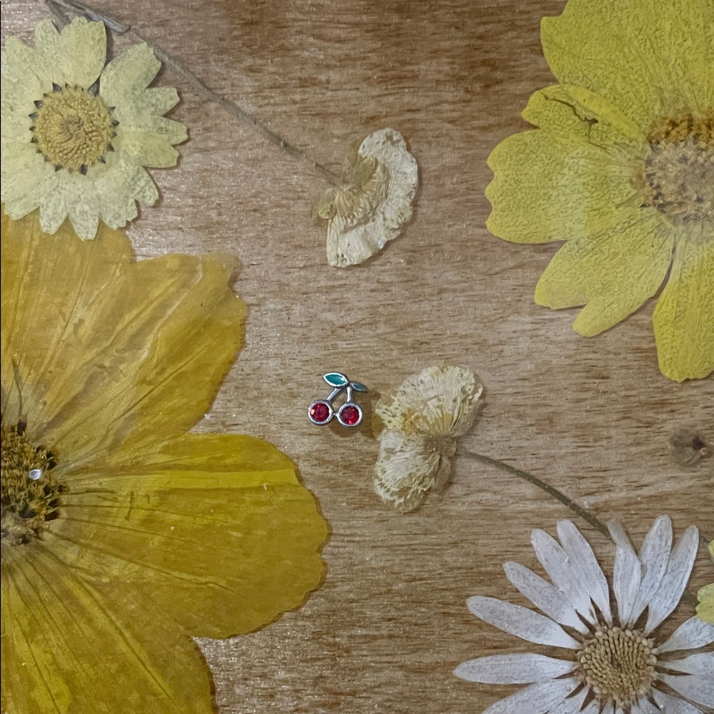 Origami Owl Cherry cherries